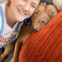 Adopt a dog:Lily/Pit Bull Terrier/Female/Adult,This 3 year old red nose pitty named Lily (formerly known as Little Bit) was rescued 6 months ago from a trailer that was set on fire after her drug dealer of an owner committed suicide and she stood by his side for days. Luckily she got out just in time and only suffered from smoke inhalation. As if that wasn’t enough, the homeless woman who got her out of the trailer tied her up and did the best she could but unfortunately Lily was scared and escaped. She was found beaten and stabbed twice in front of a dollar store 3 days later. 

You can’t make this up …

She SURVIVED! And after 2 weeks in intensive care at the shelter vet we came for her and brought her to safety. Her story baffles me. Every time she looks up at you with her bright smile and her tail wagging I’m at a loss for how she still loves everyone she meets. She’s too good for this world and that’s why we’re setting the bar quite high for the home that takes her in.

She deserves the world on a platter and we’re not going to stop until we find her soul mate that will give her that.

She loves to snuggle. She has the sweetest little bark that sounds like a seal. She loves to go on walks but is a strong girl. She’s still nervous around other dogs so we want her to be the only animal in the house. She loves to give slobbery  kisses on the face. She’s sensitive and very connected to her people. She’s loyal (need we remind you of her story of siting by her owner). She loves kids and lights up around them. She’s a perfect mix of couch potato and long walks buddy. Her most prized possession is a purple toy and she takes it with her into every room she goes into. 

She’s around 3 years old, mellow and affectionate, playful. Up to date on shots and spayed. We’re looking for her to be the only animal in the home because she had been attacked by other dogs.
