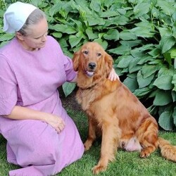 Thunder/Goldendoodle									Puppy/Male	/May 21st, 2024,Thunder is a smart, lil pup and would love to be your best,furry friend! He’s up to date on deworming and vaccinations, Vet checked with a Health Certificate and comes with a One Year Health Guarantee.